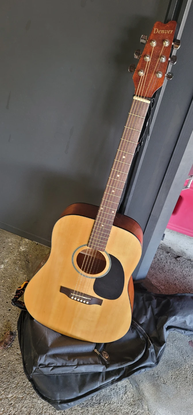 Denver Acoustic Guitar with Gig Bag - photo 5