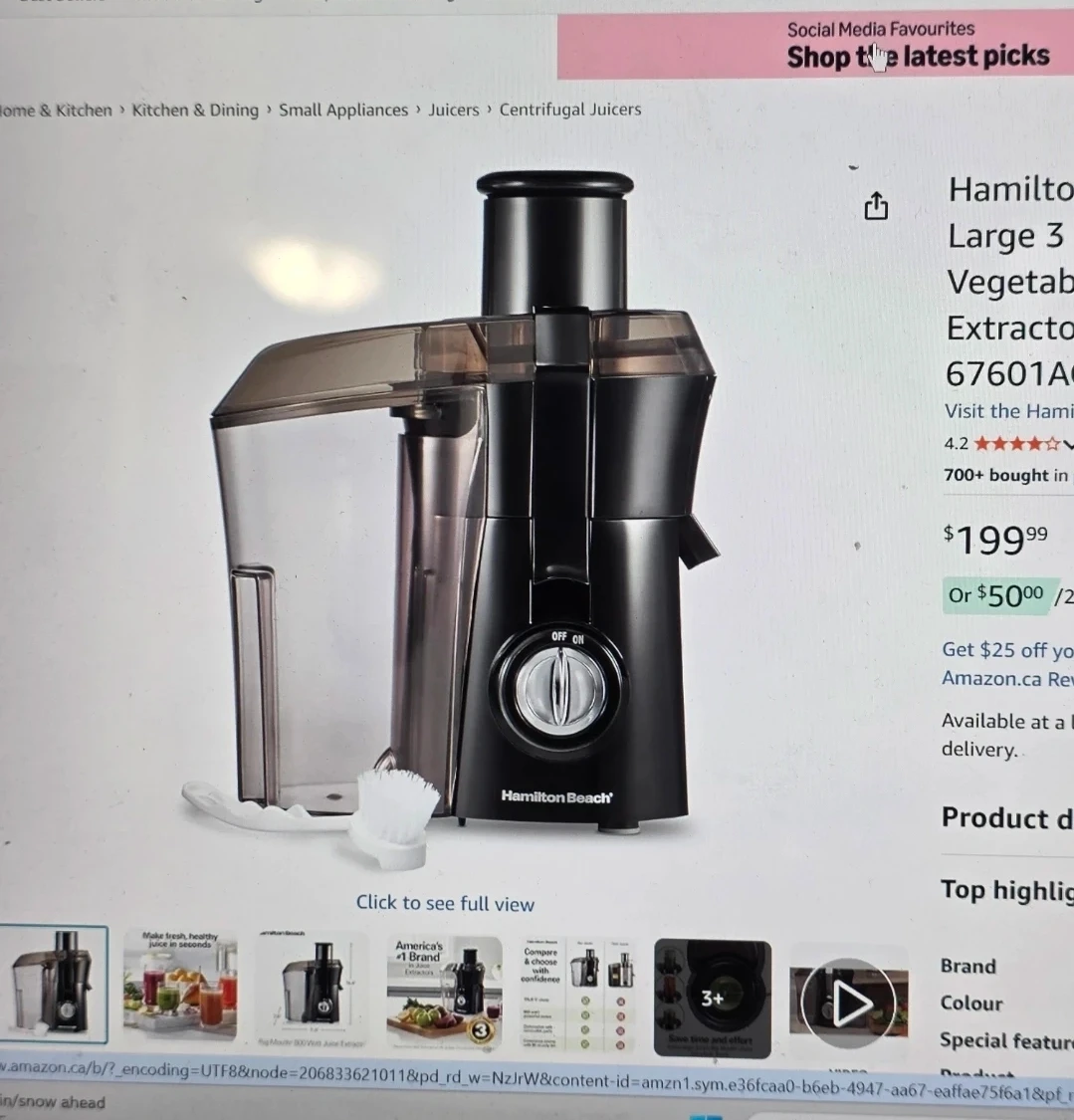Hamilton Beach Large juicer