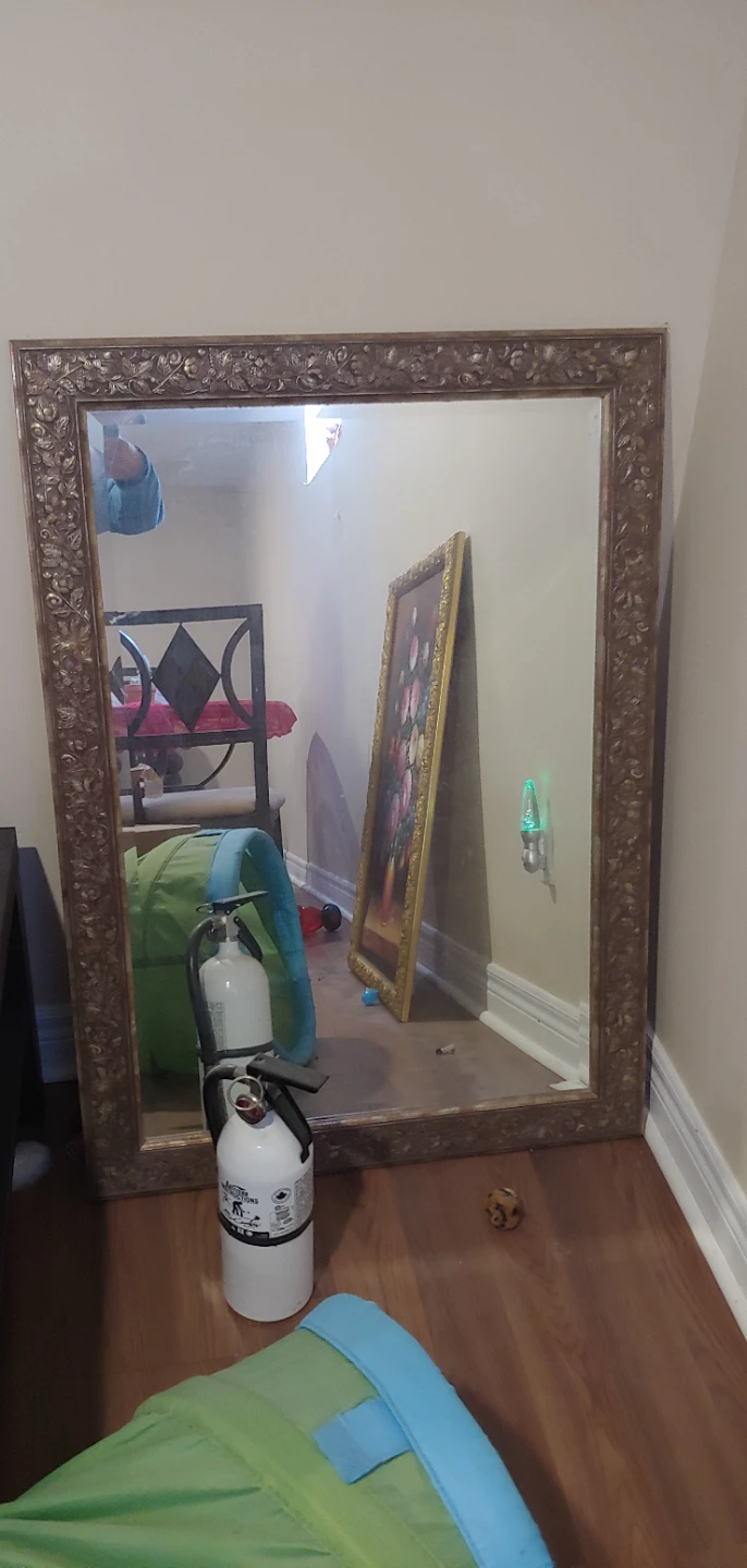 Ornate Framed Mirror