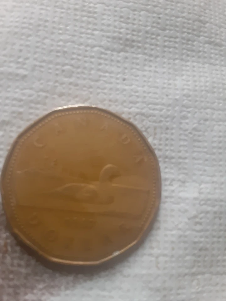 1987 Canadian Loonie Coin