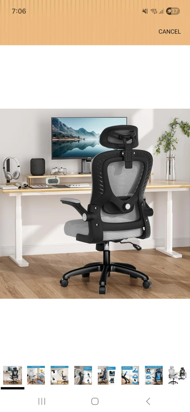 SPRDENG Ergonomic Office Chair - photo 4