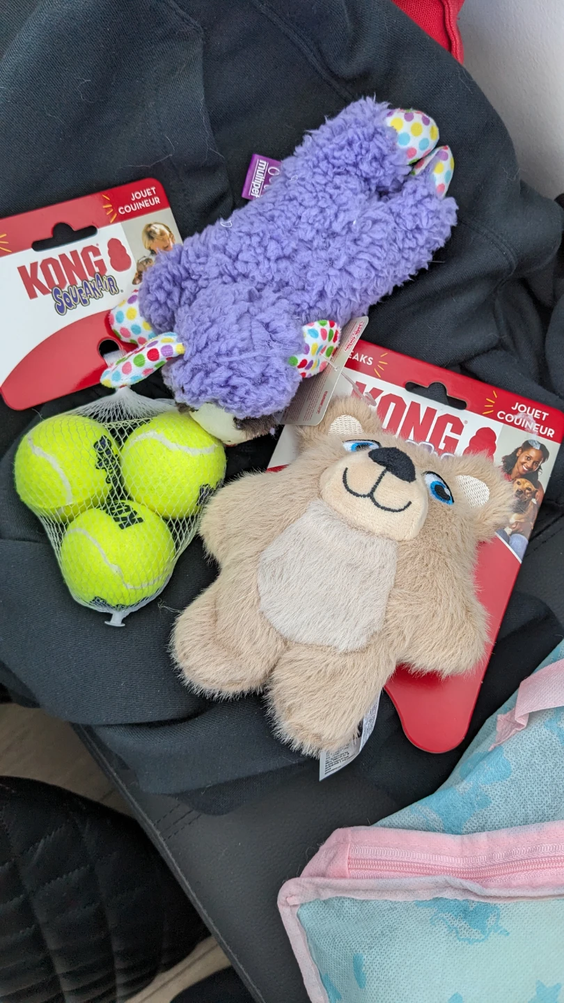 Puppy Dog Toys Set - New with Tags