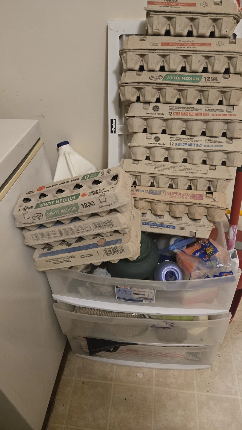 Mixed Lot of Egg Cartons - Various Brands