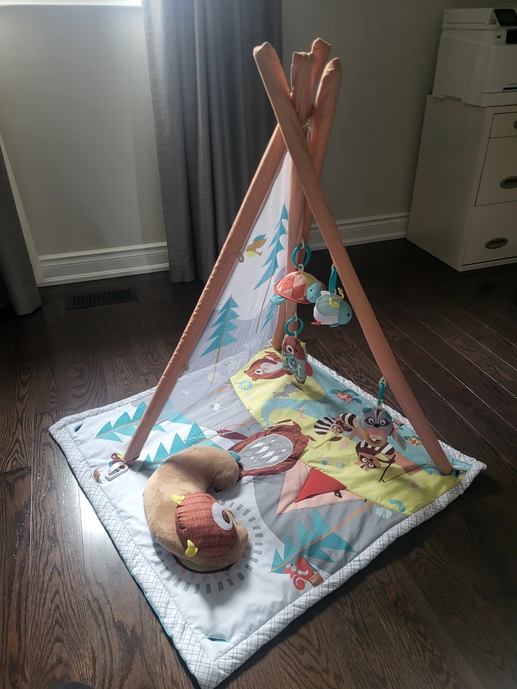 Fisher-Price Woodland Dreams Play Gym