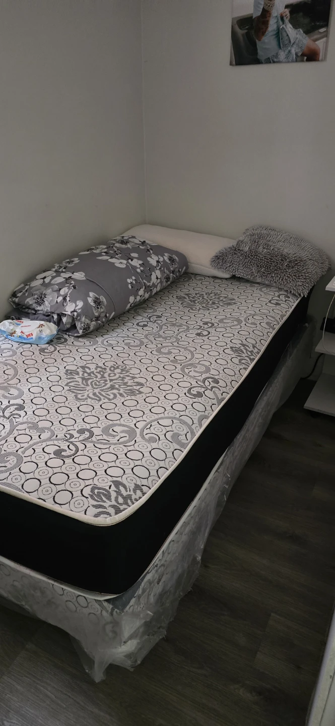 Twin Mattress with Box Spring - photo 3