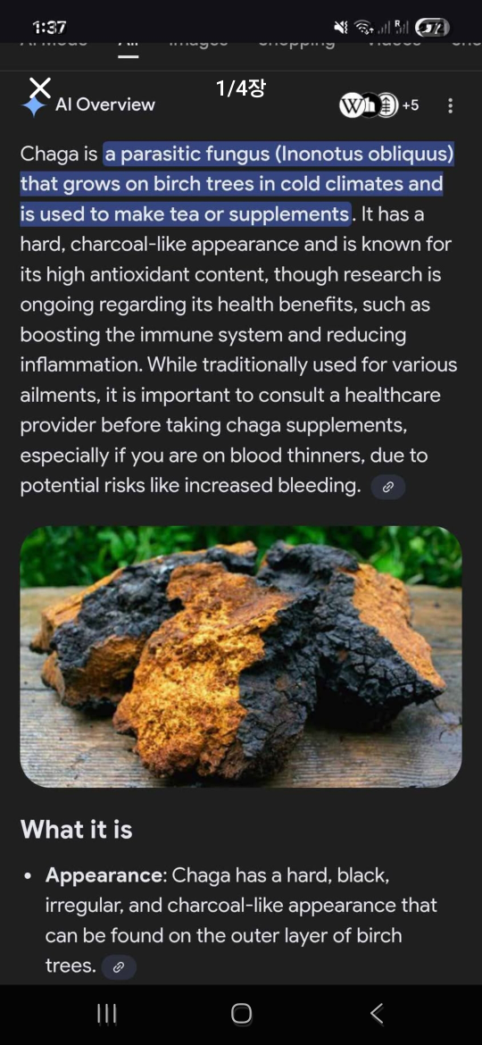 Chaga Mushroom Pieces