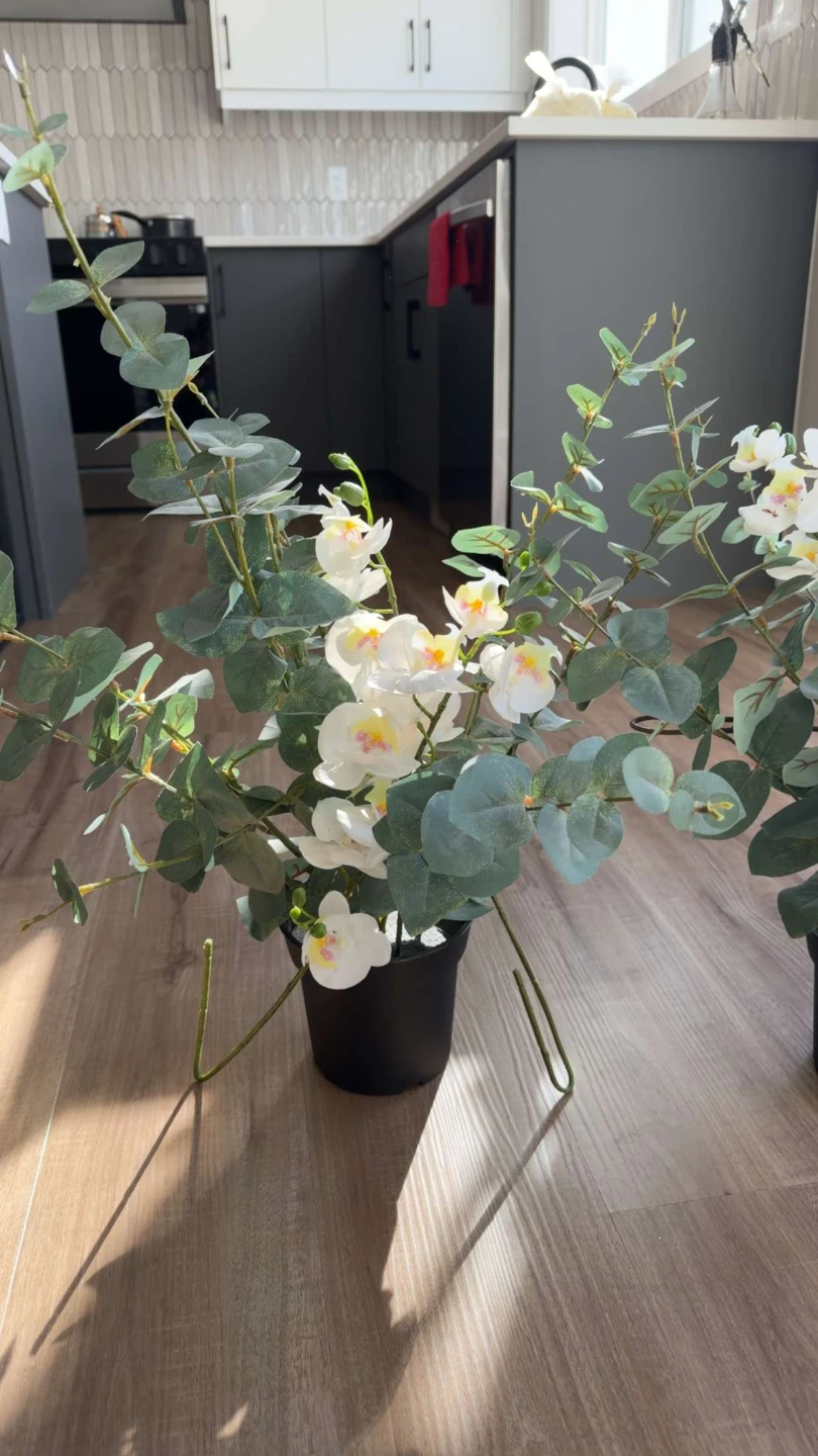 Artificial Orchid and Eucalyptus Plant Arrangement plants - photo 2