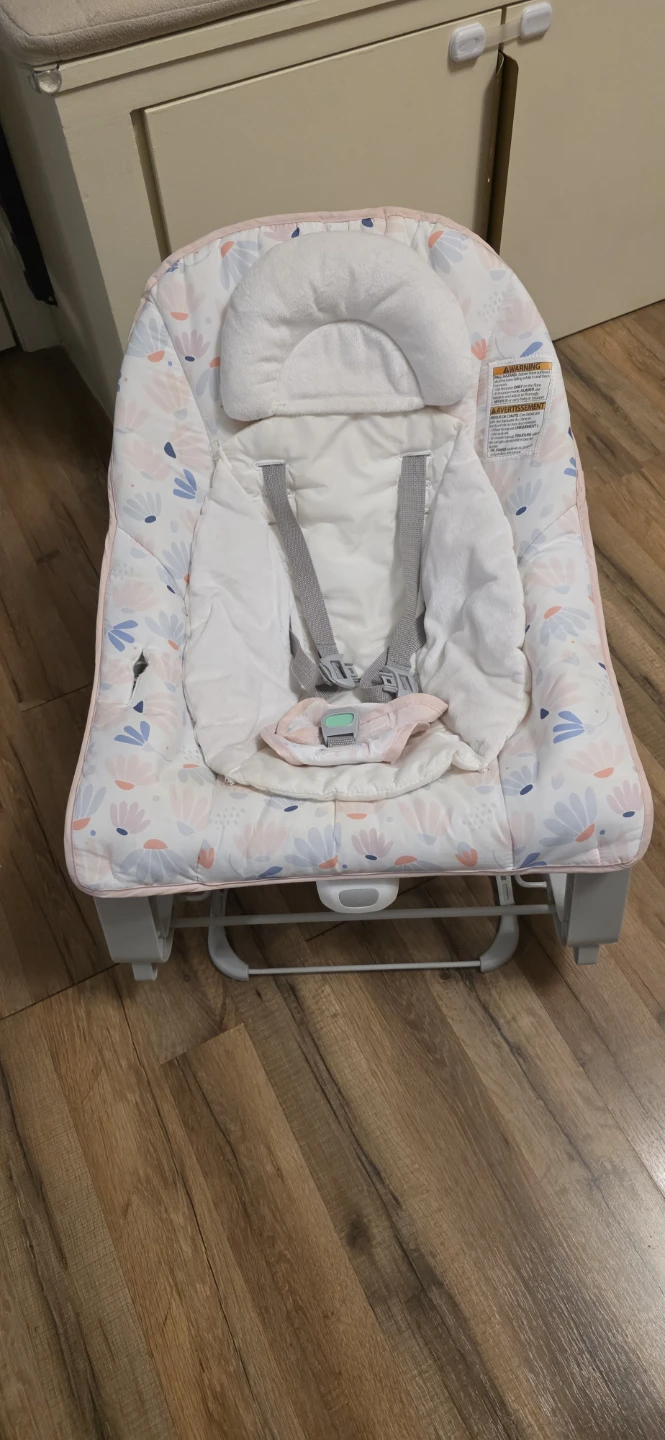Infant/Toddler 3-in-1 Grow Baby Bouncer Seat - photo 2