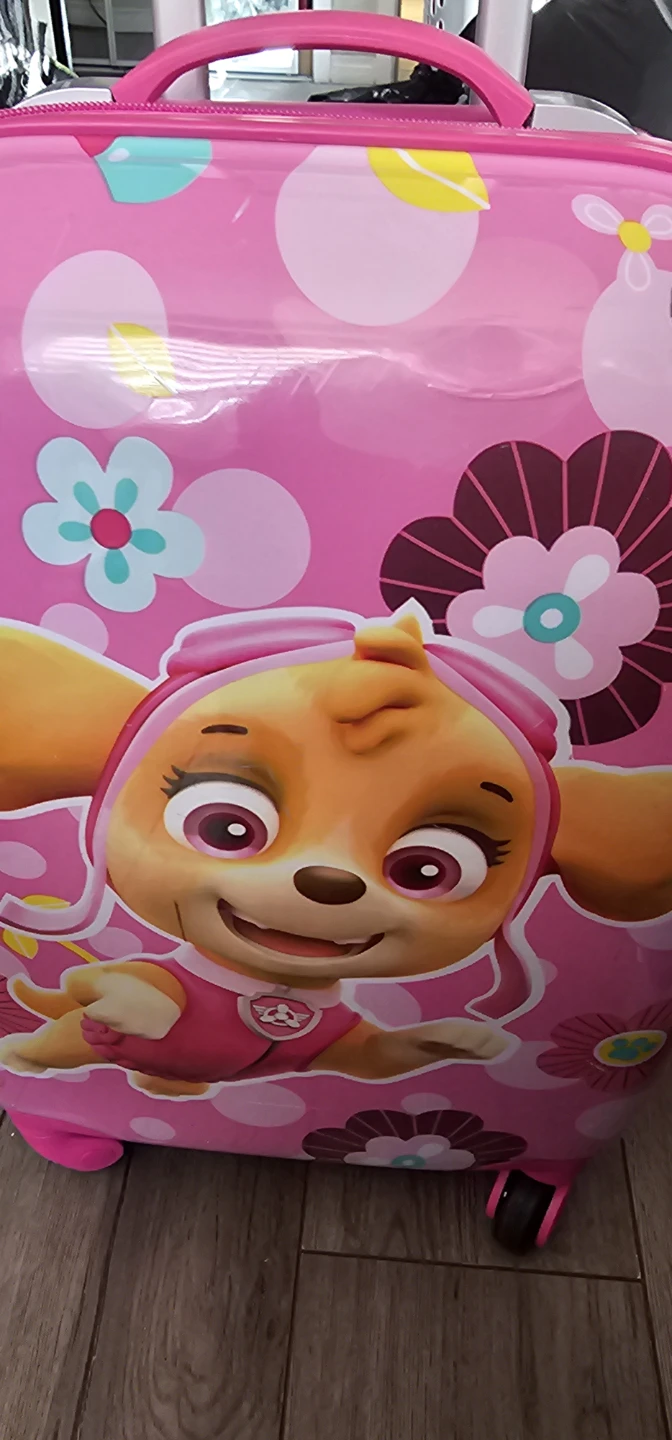 Kids Pink Paw Patrol Skye Luggage