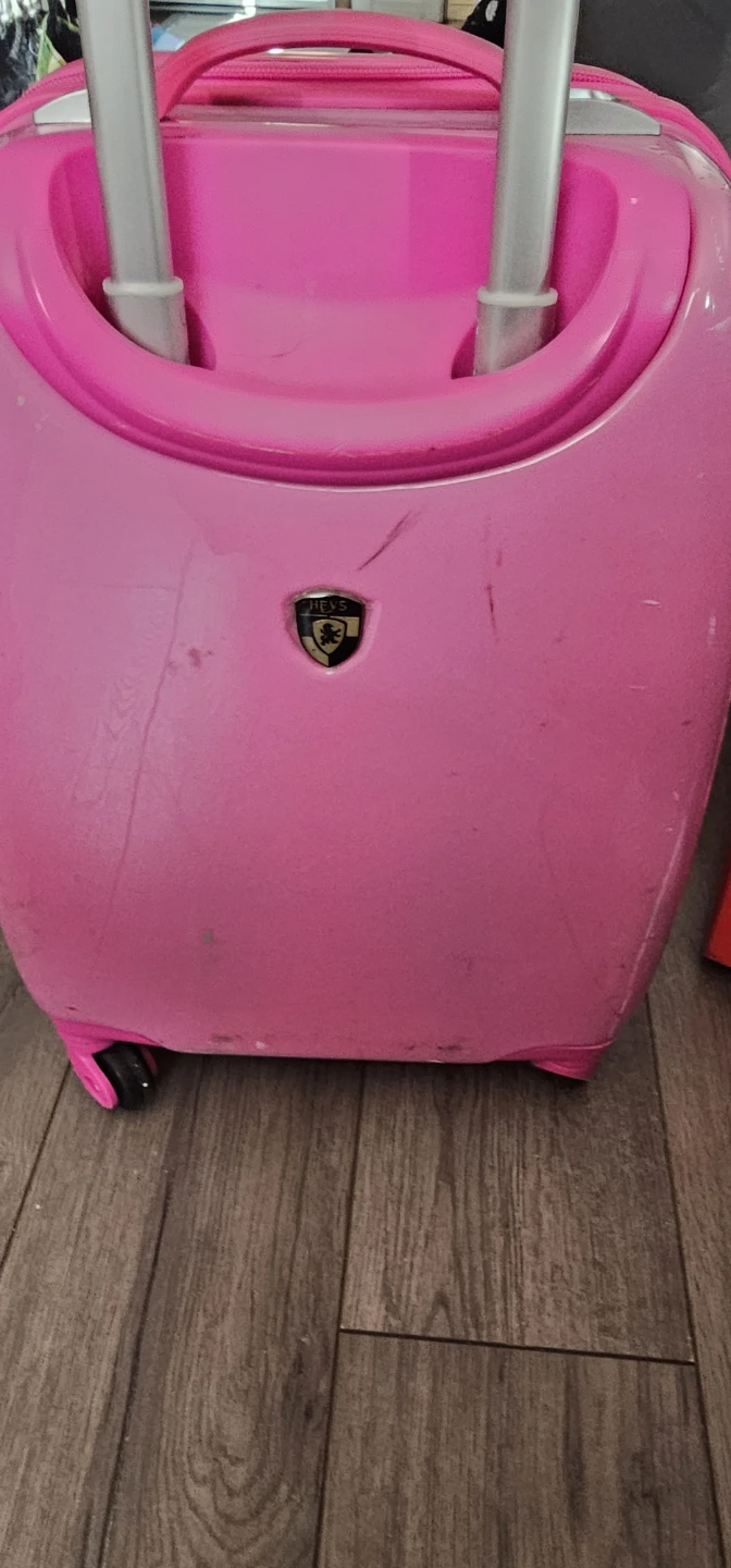 Kids Pink Paw Patrol Skye Luggage - photo 2
