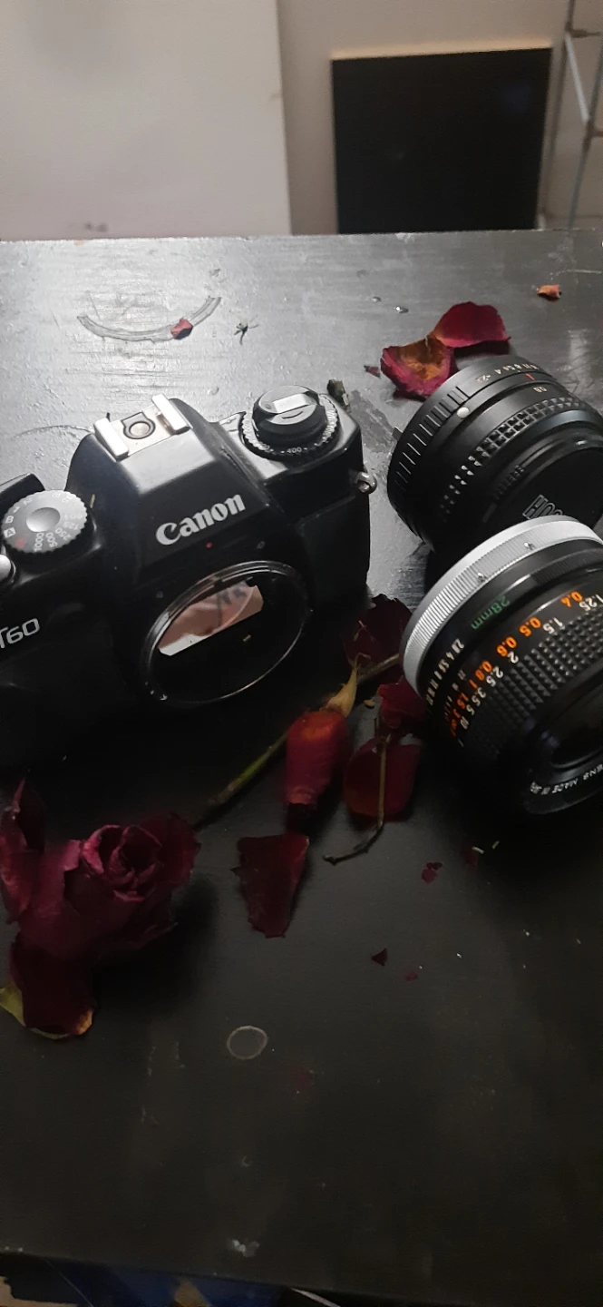 Canon T60 35mm Film Camera with 2 Lenses🥕