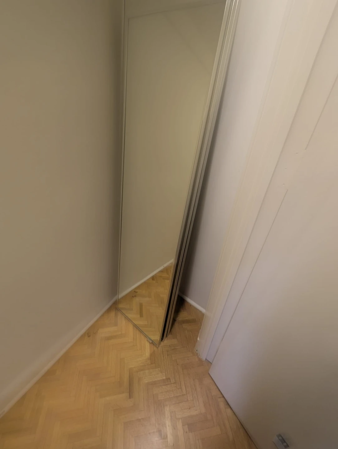Full Length Mirror with Silver Frame
