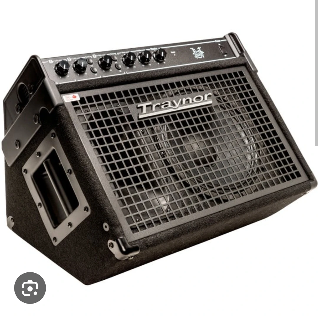 Traynor DW10 Bass Amplifier