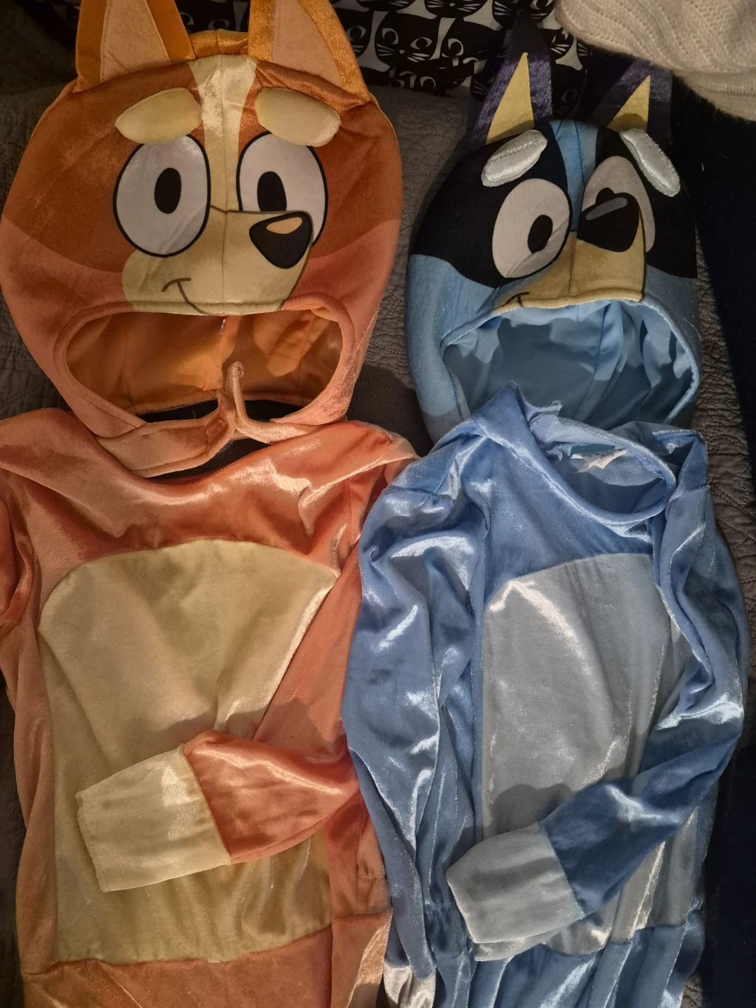 Bluey & Bingo Costumes - Kids Size 4-6 - photo 2