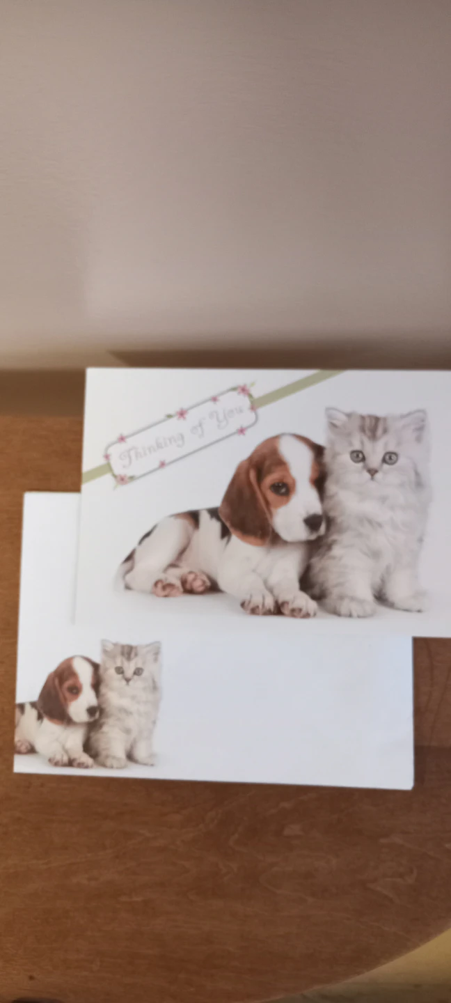 Thinking of You Greeting Card with Puppies and Kittens