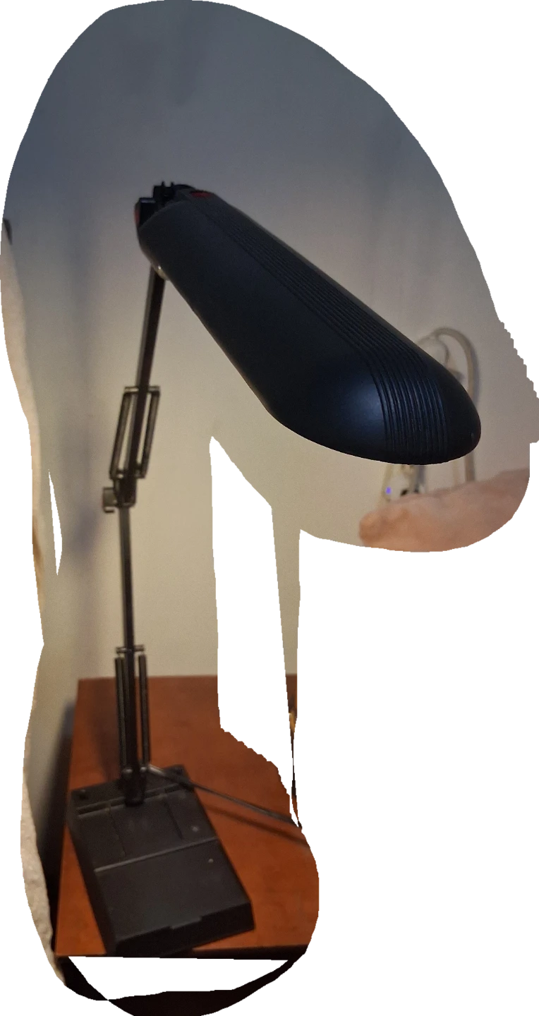 Black Adjustable Desk Lamp