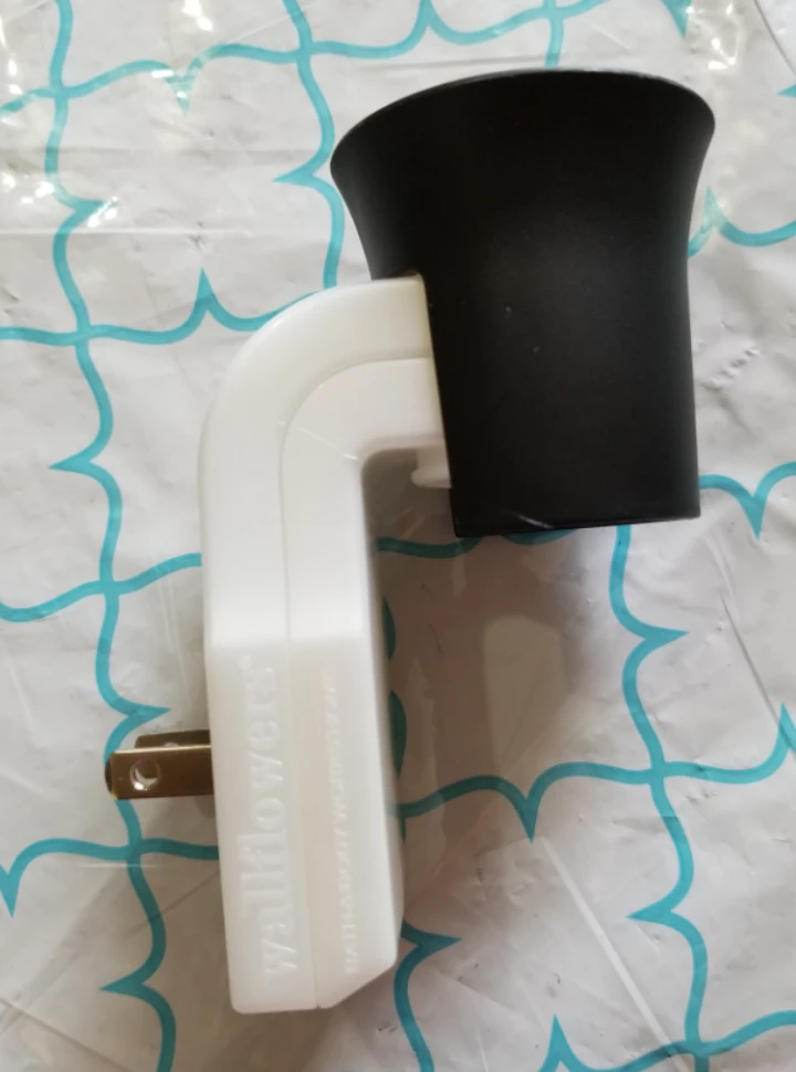 Bath & Body Works Wallflowers Fragrance Plug🥕
