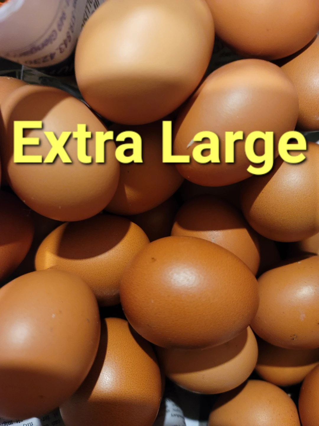 Extra Large Brown Eggs