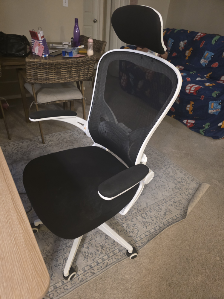 Ergonomic Mesh Office Chair with Headrest