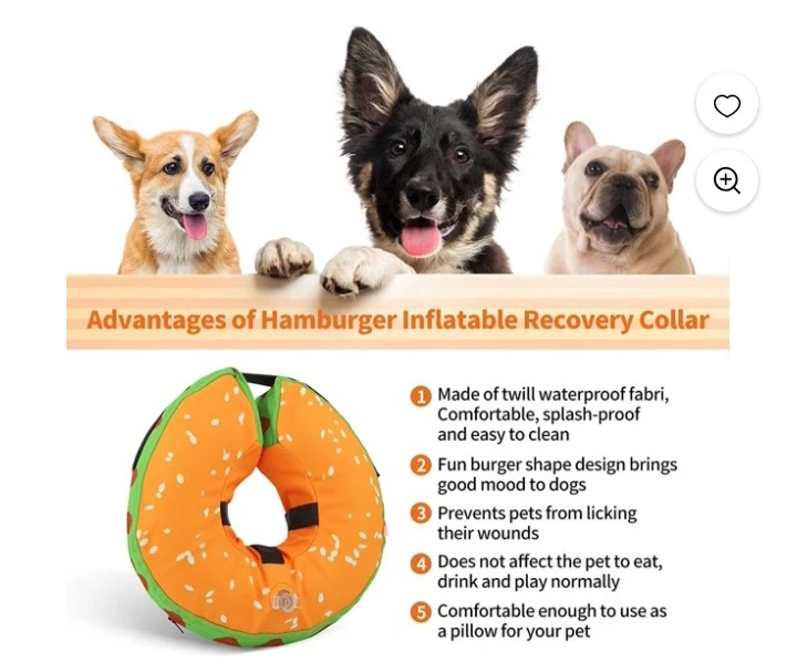 NEW!  Inflatable Recovery Collar for Pets 🧡 - photo 5