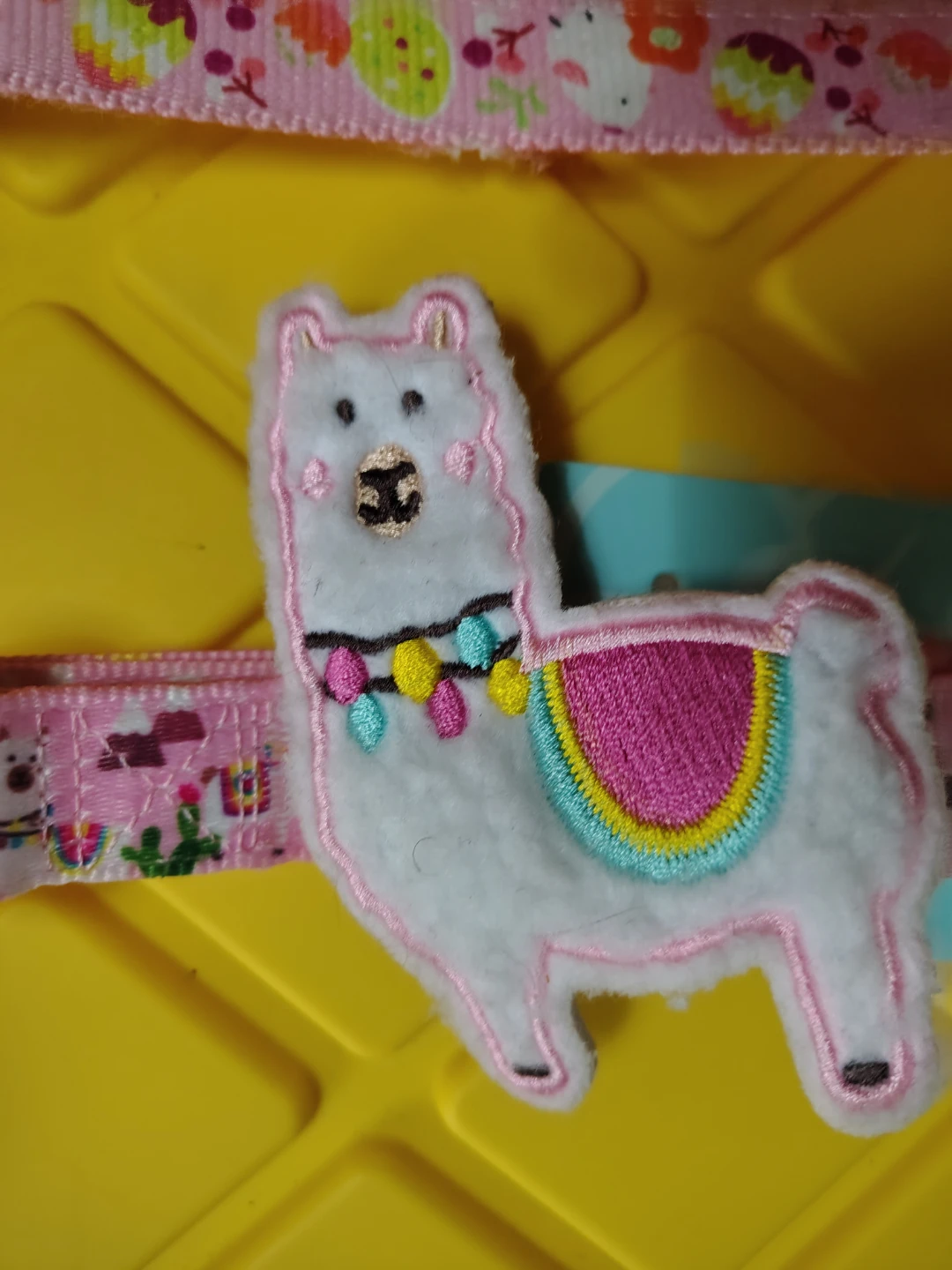 Blueberry Pet Dog Collars (3-Pack) - photo 2