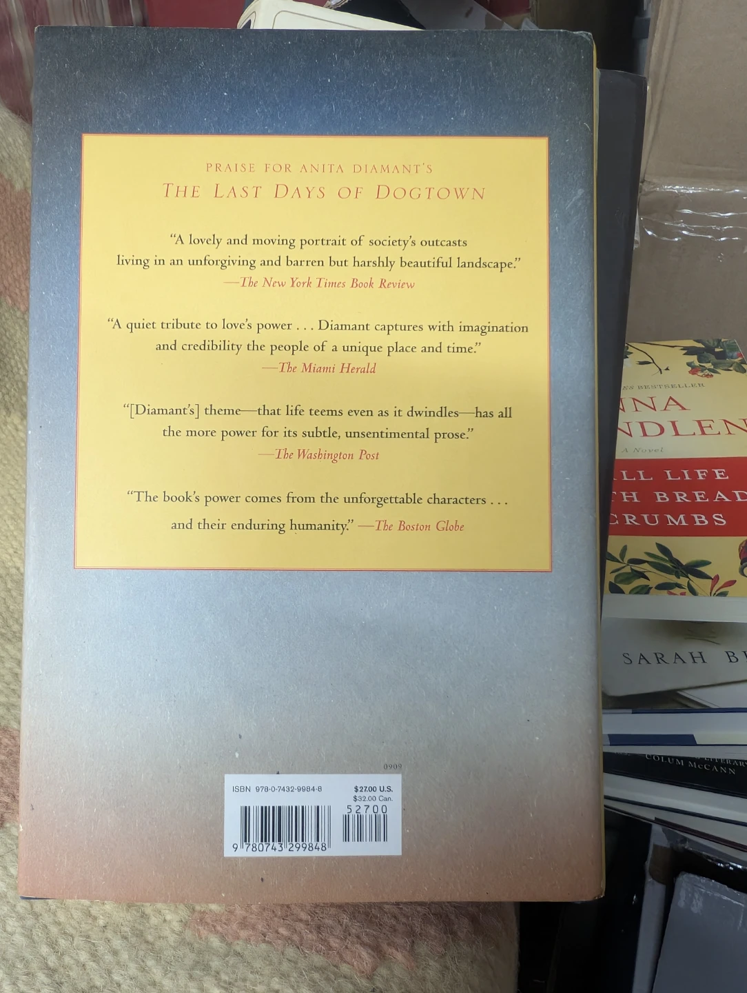 Anita Diamant Day After Night Novel