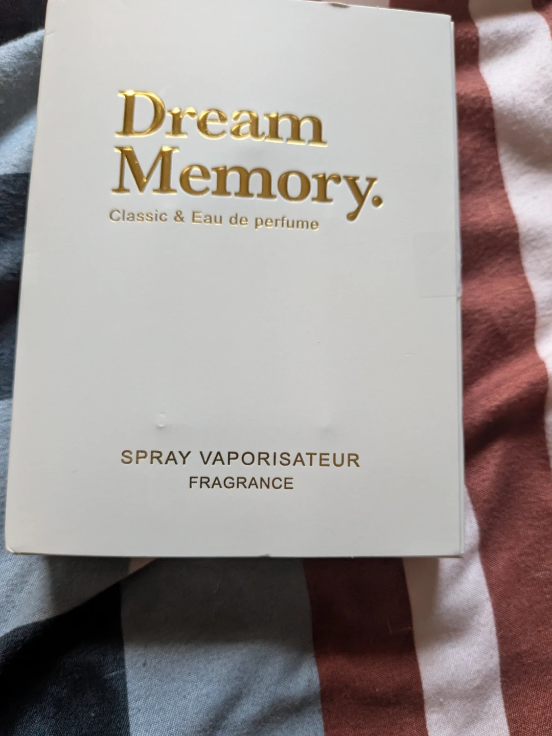 Dream memory