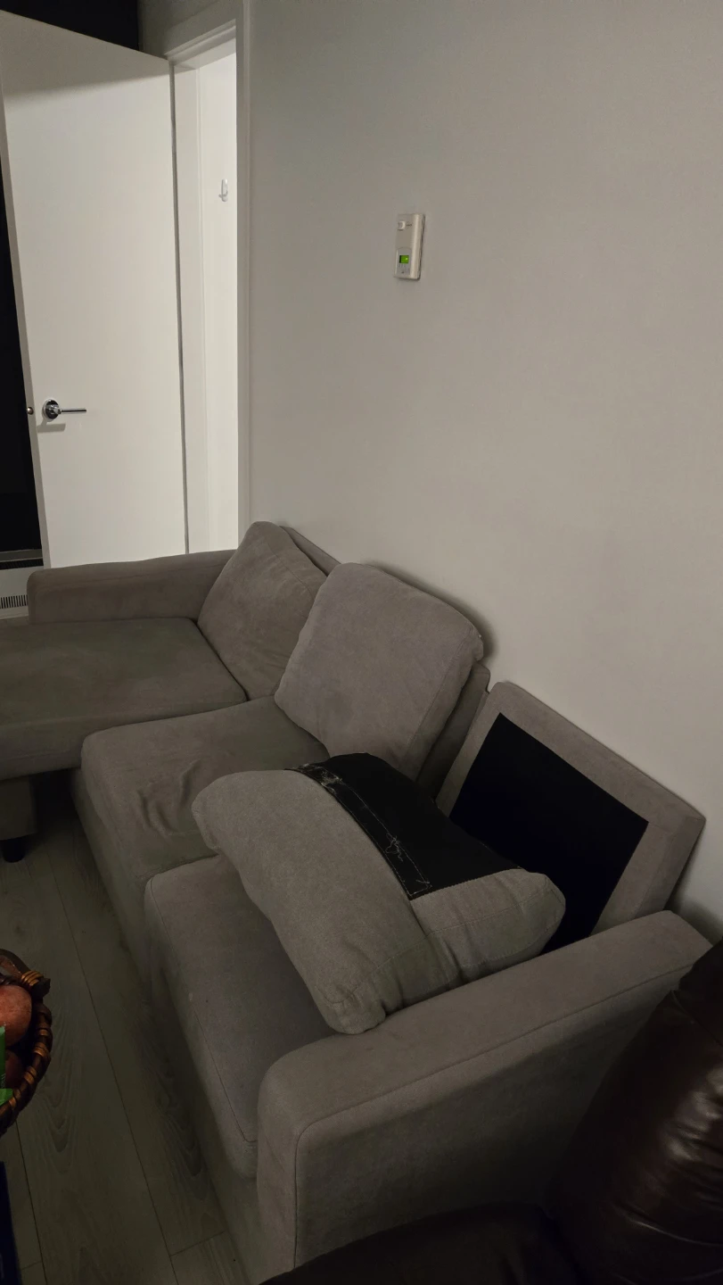 Grey Sectional Sofa with Chaise - photo 2