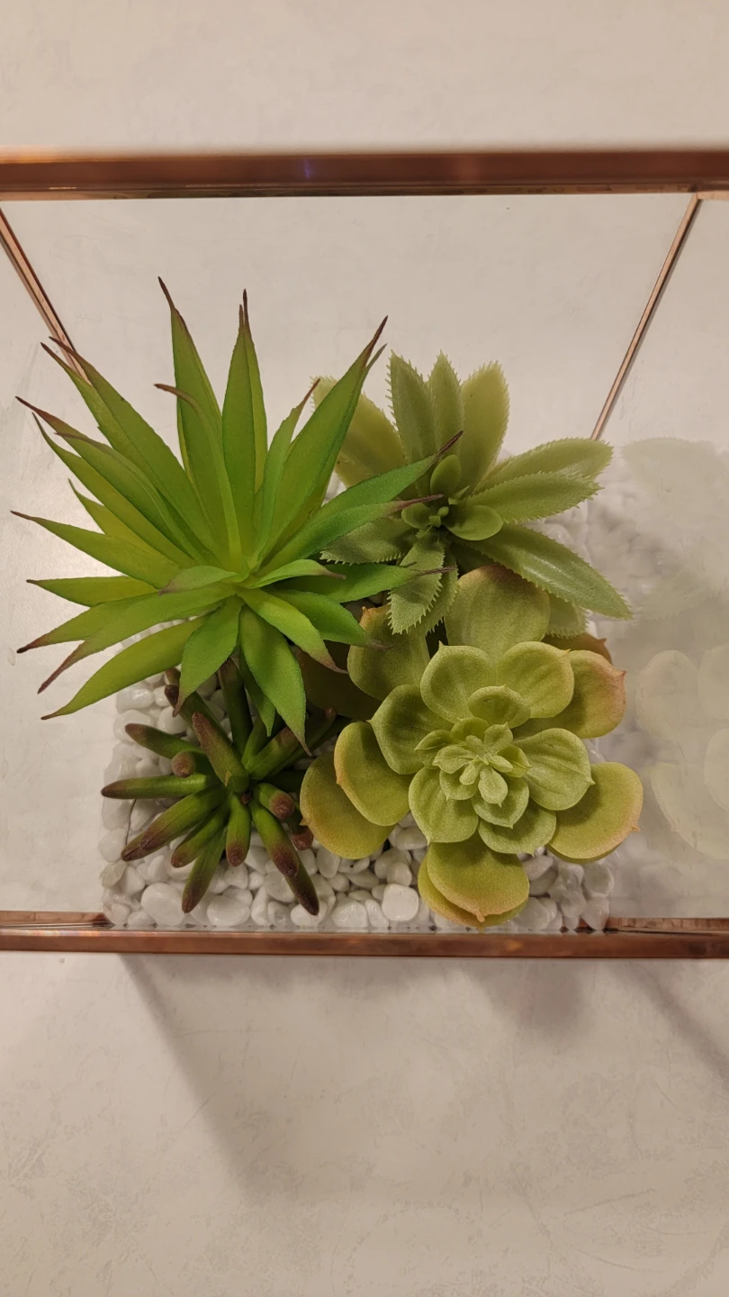Geometric Terrarium with Artificial Succulents - photo 3