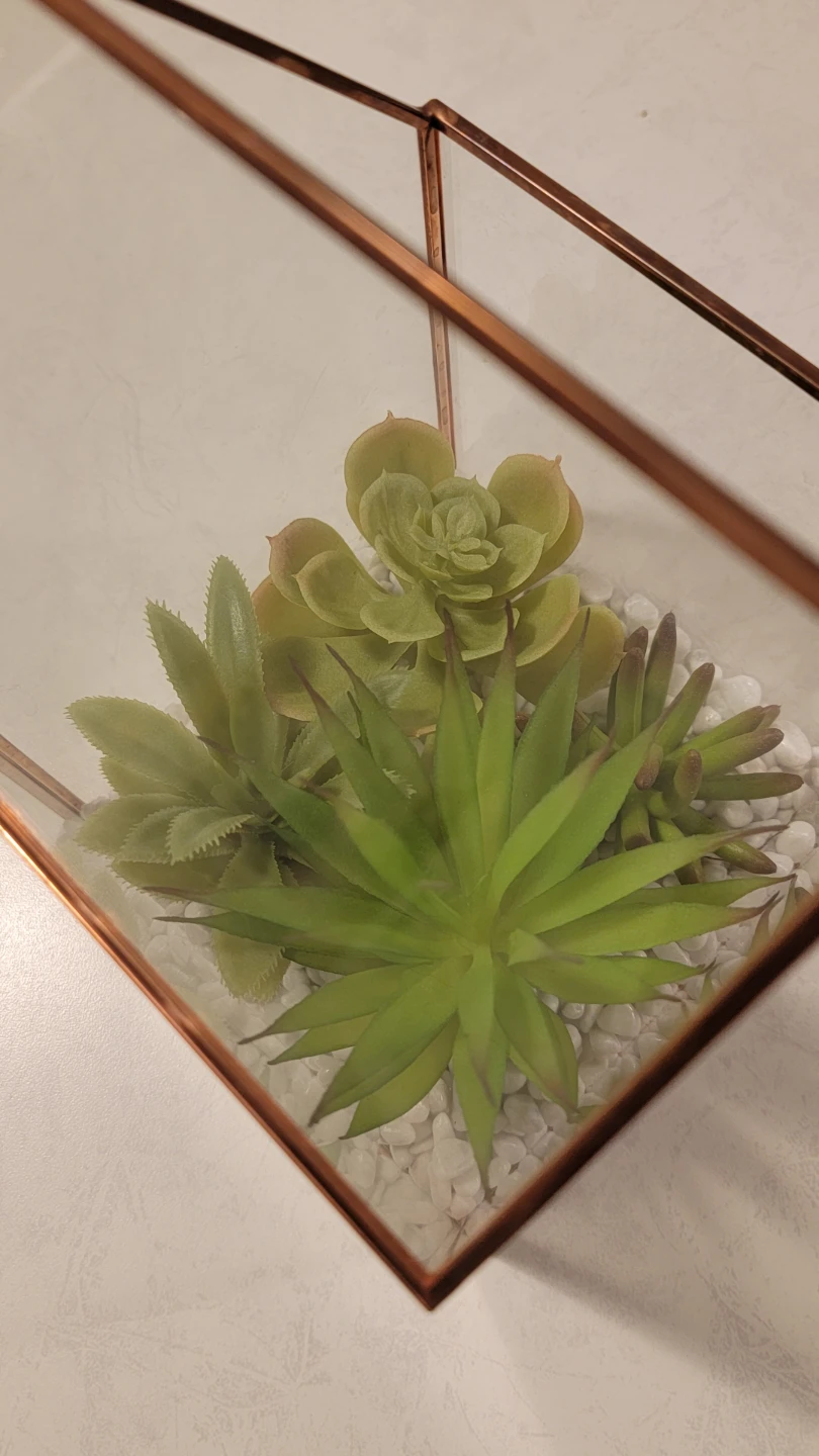 Geometric Terrarium with Artificial Succulents - photo 5