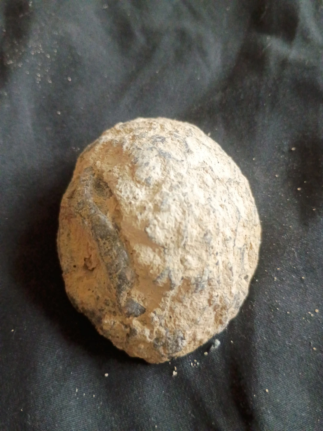Amethyst Geode Specimen - photo 2