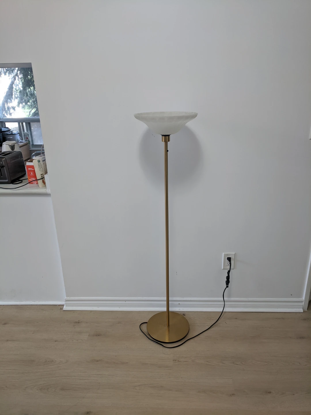 Floor Lamp with Frosted Glass Shade
