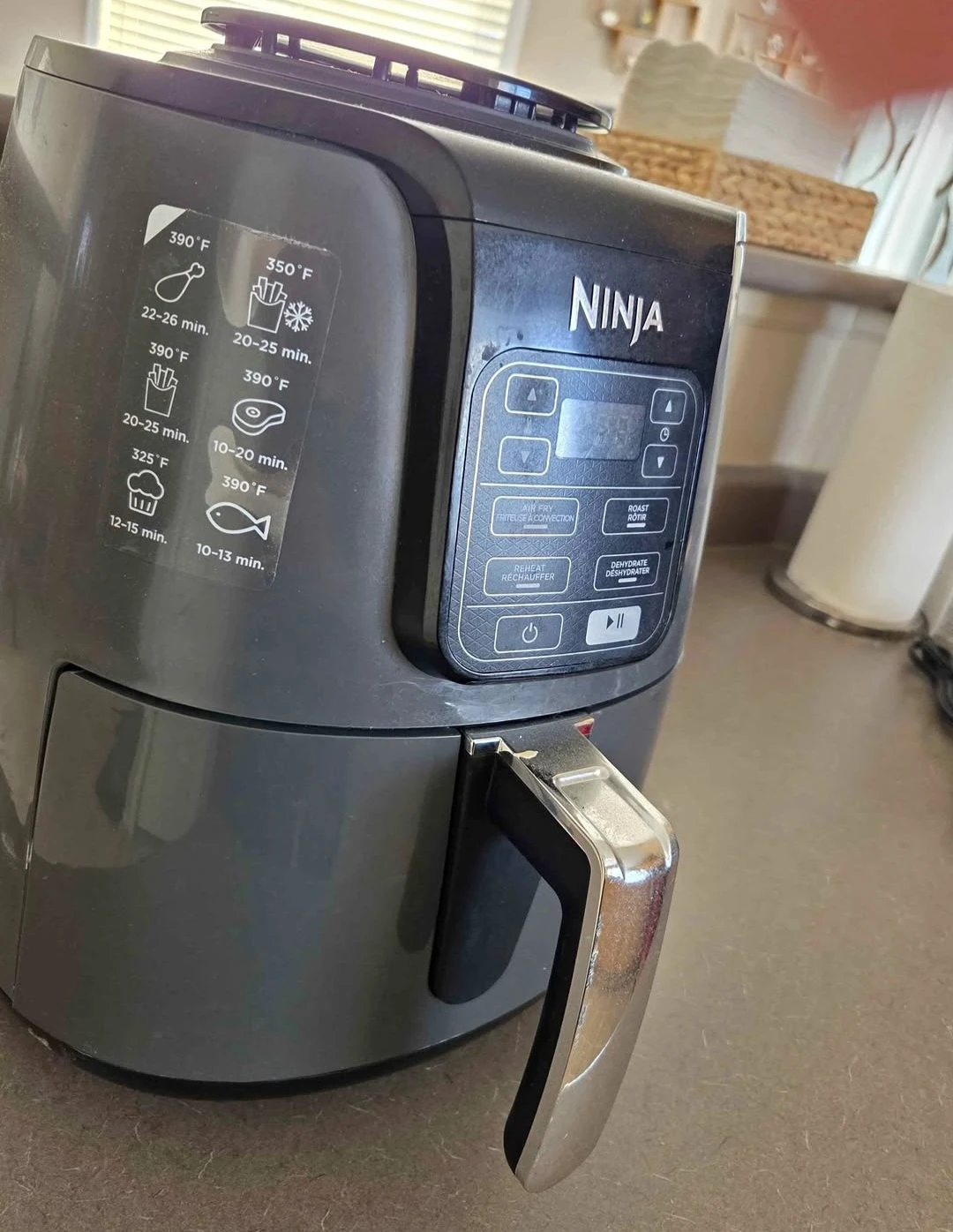 Ninja Air Fryer