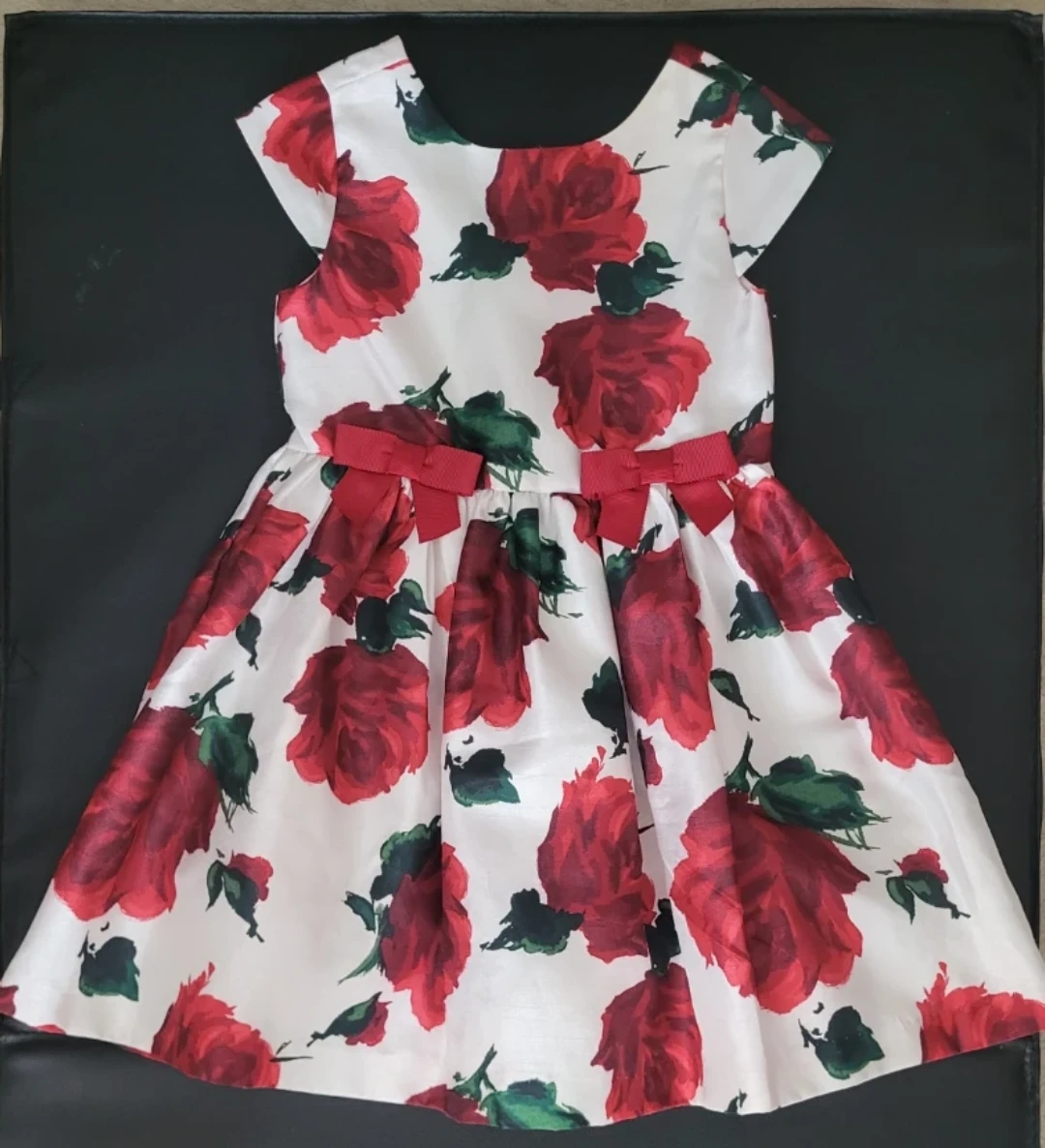 Gymboree "Dressed Up" Rose Print Dress - Size 5T