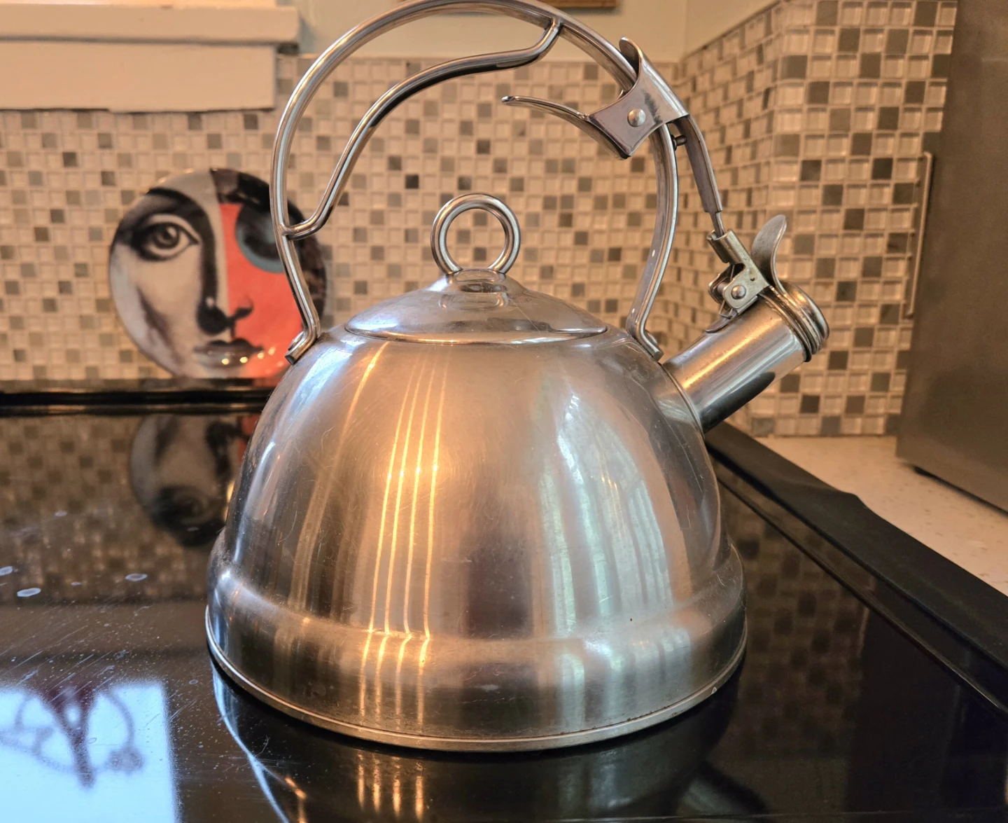 Stainless Steel Tea Kettle