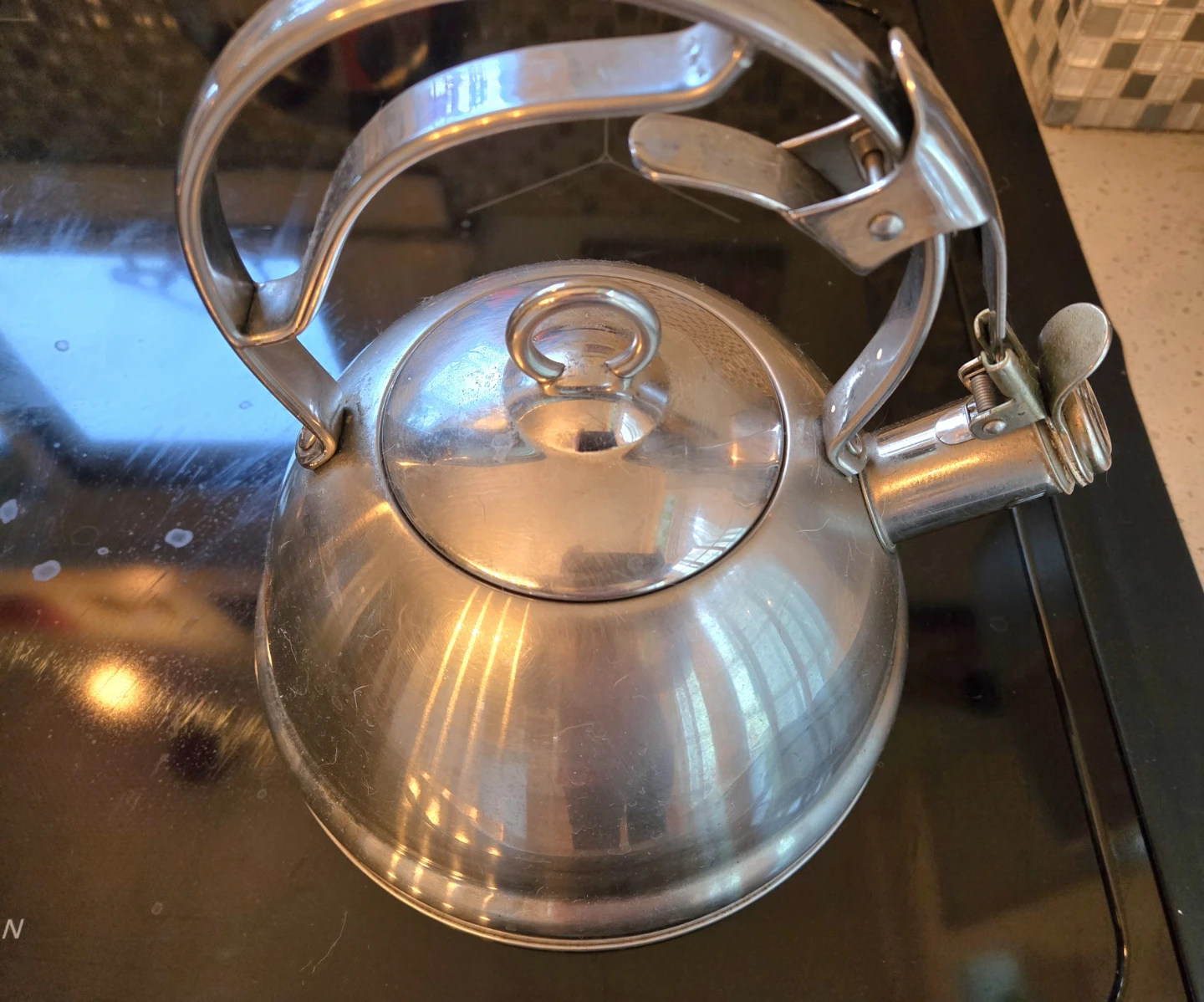 Stainless Steel Tea Kettle - photo 2