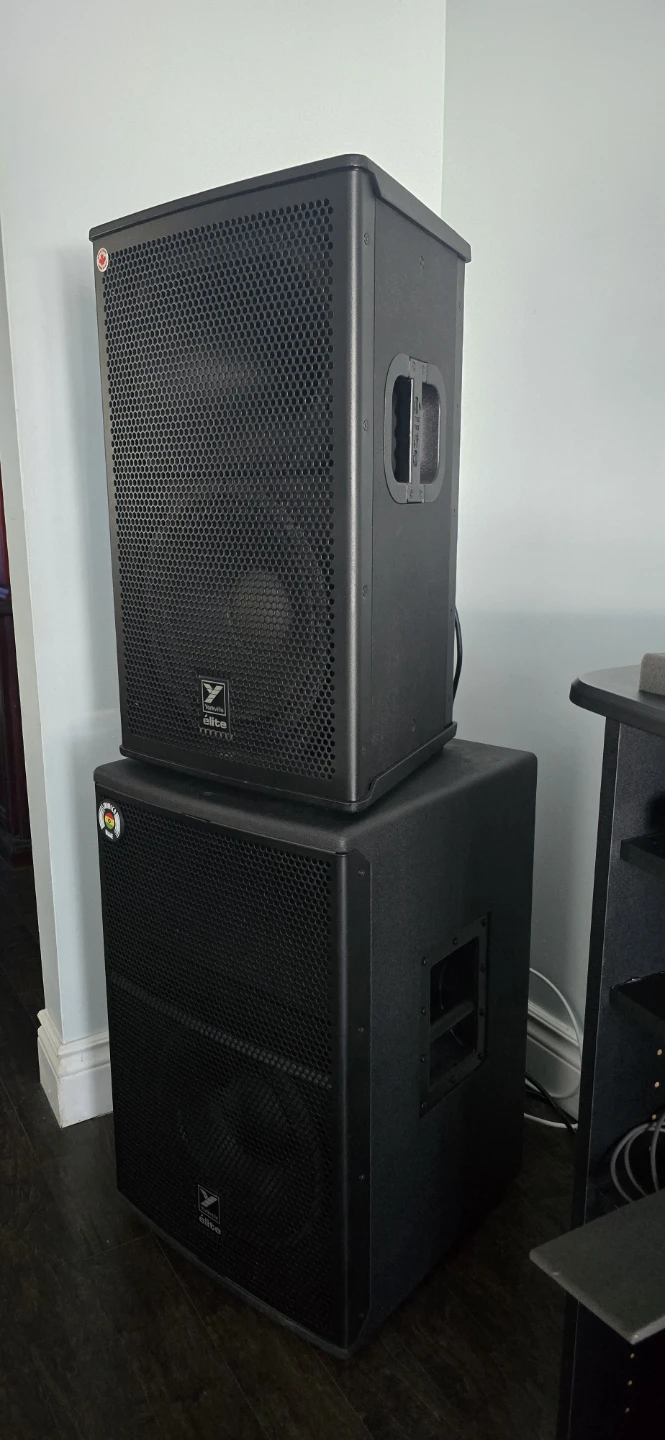Yorkville Elite 12 inch PA loud speaker and 12 inch subwoofer - photo 2