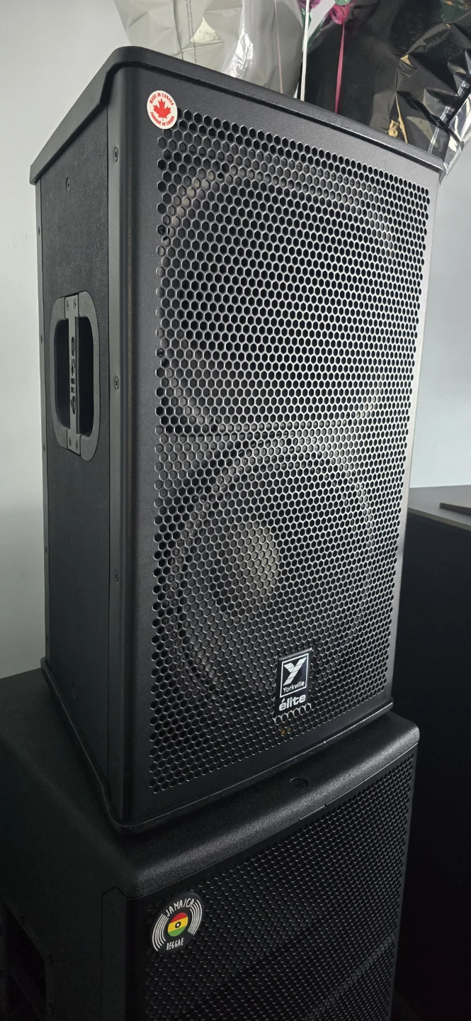 Yorkville Elite 12 inch PA loud speaker and 12 inch subwoofer - photo 3