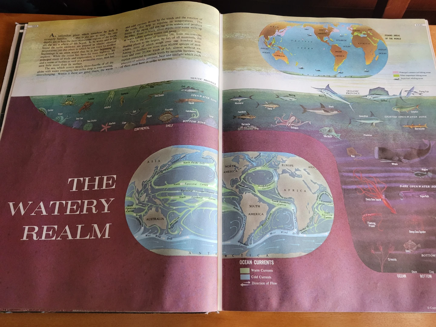 Hammond Medallion World Atlas - New Perspective Edition - photo 4