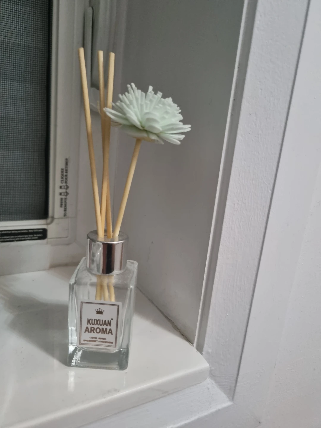 Kuxuan Aroma Reed Diffuser (empty)