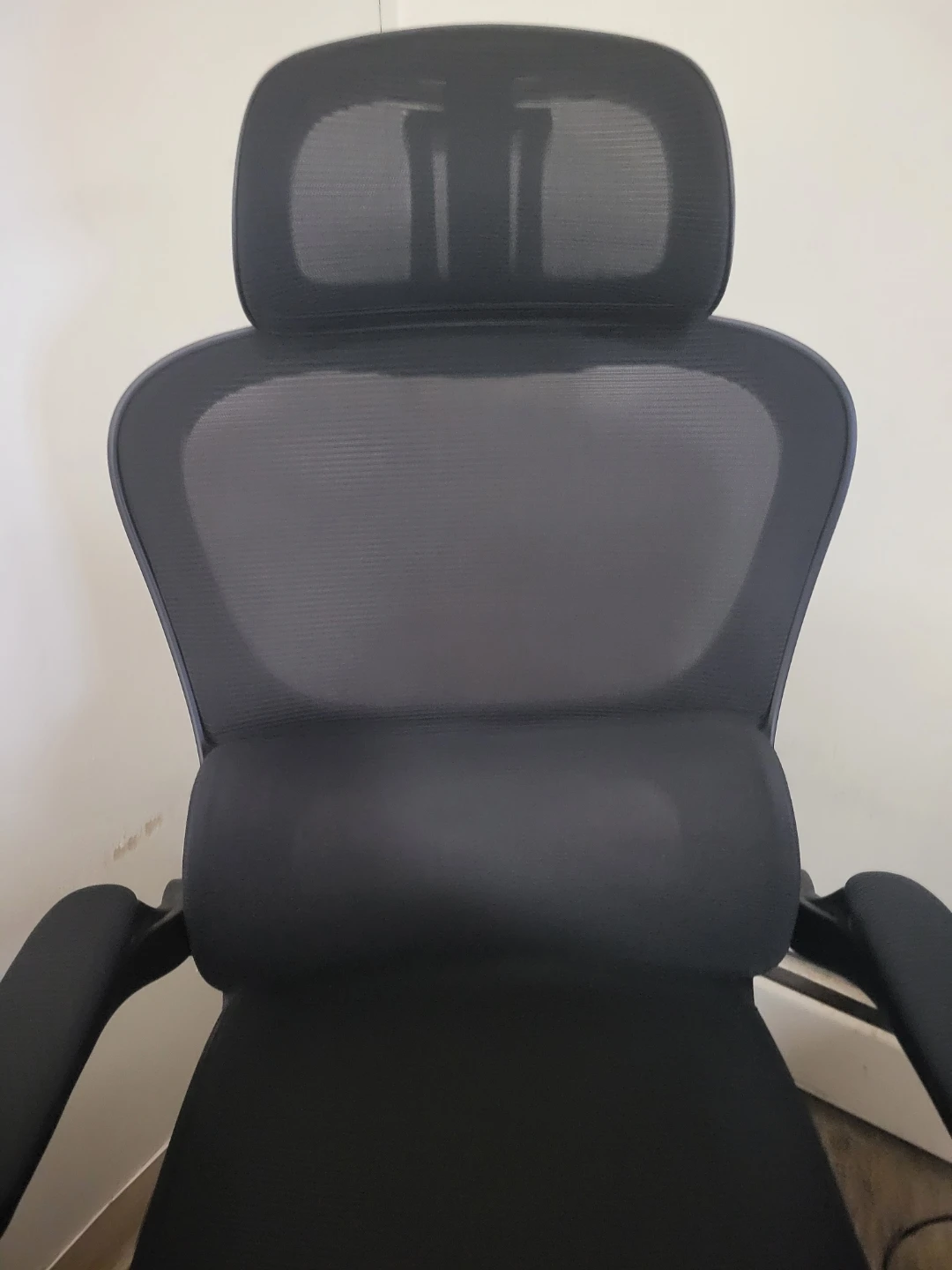 ELAMA Ergonomic Office Chair