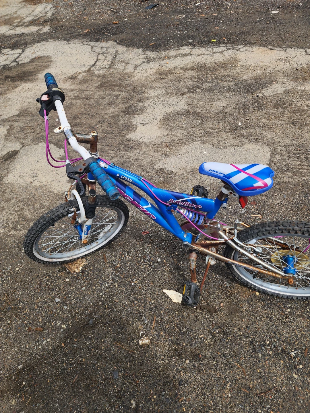 Pacific "Push Bike" 6 Speed Bicycle - photo 2
