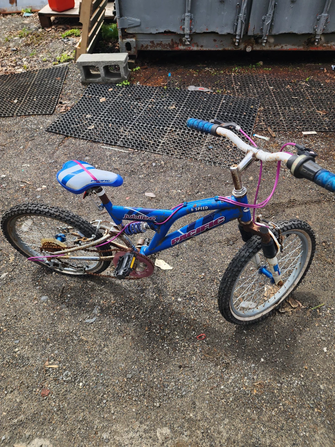 Pacific "Push Bike" 6 Speed Bicycle - photo 3