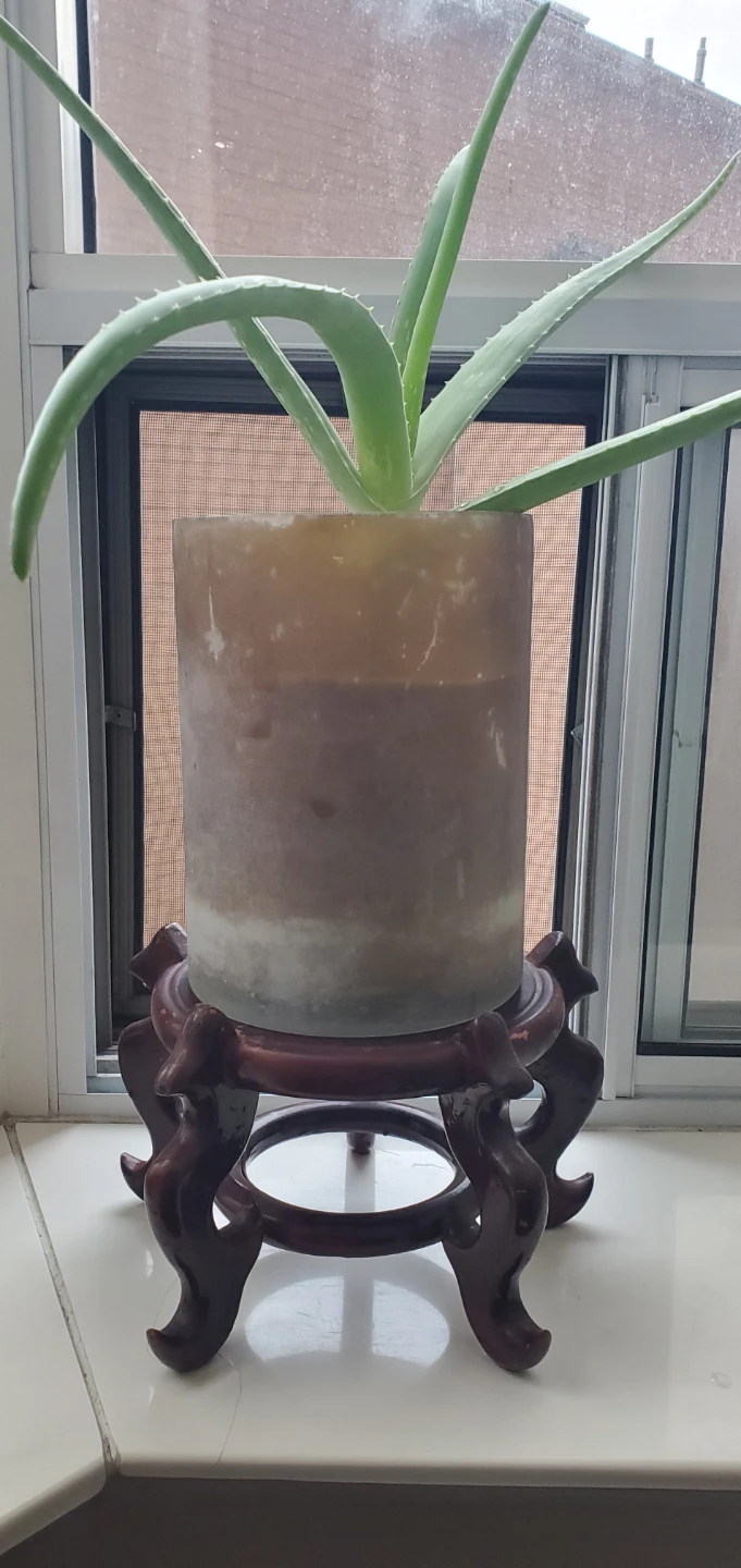 Decorative Pot Stand 🌱
