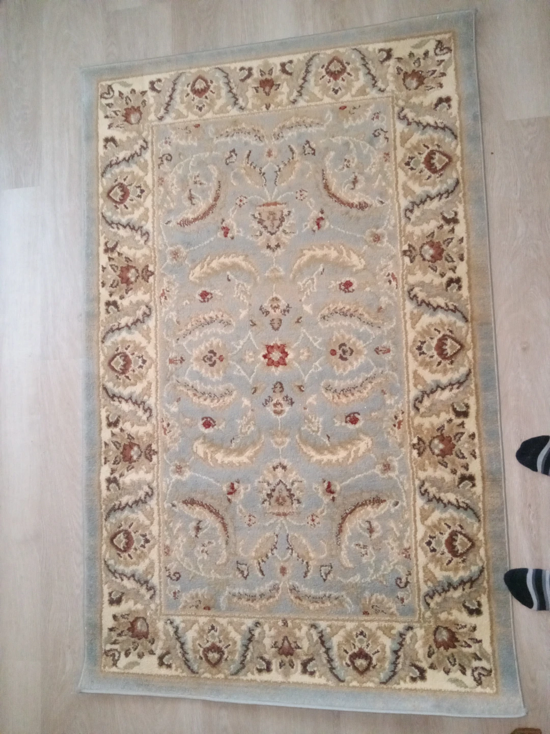 Traditional Oriental Area Rug