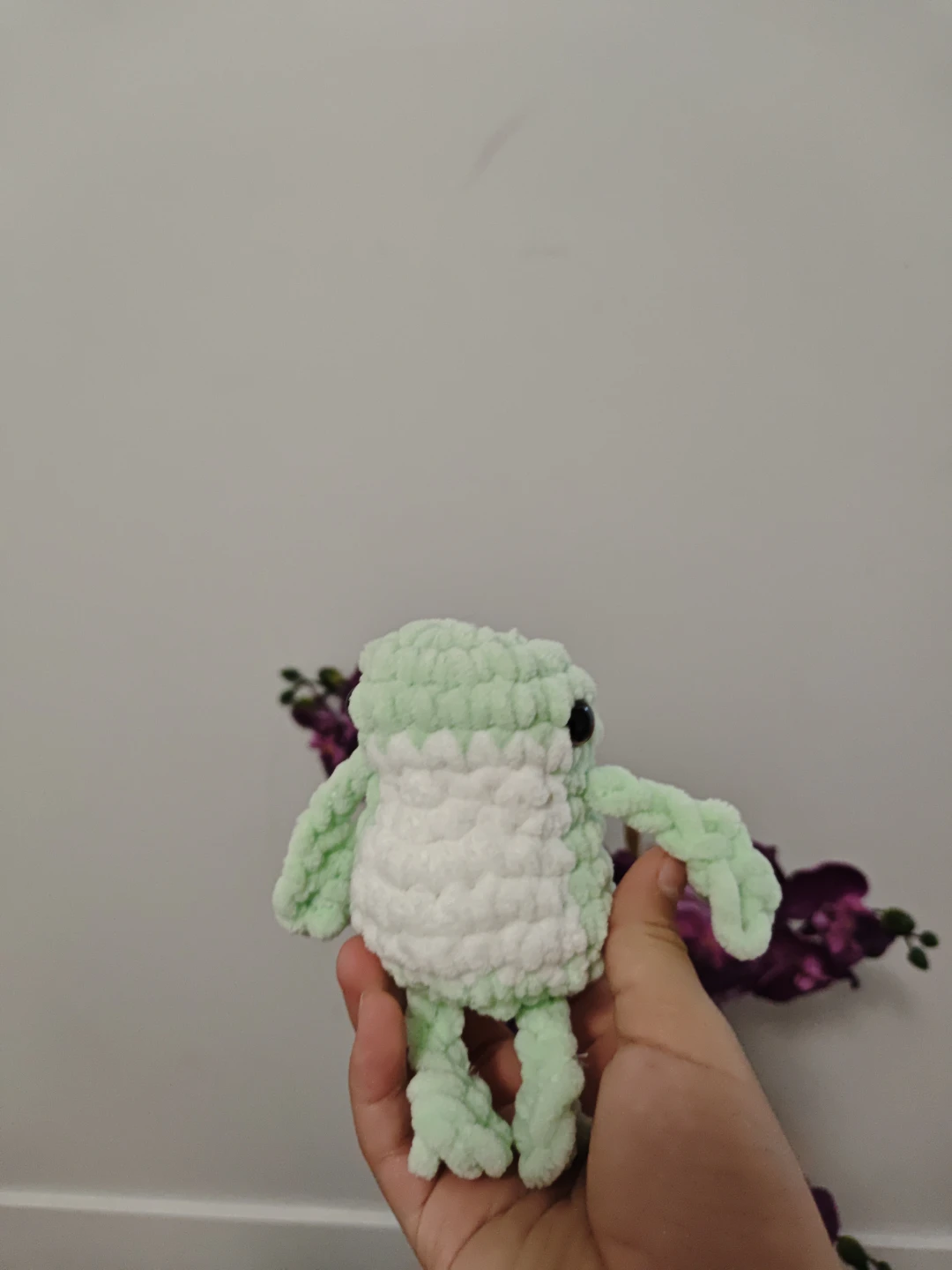 Crochet Frog Plushie - photo 4