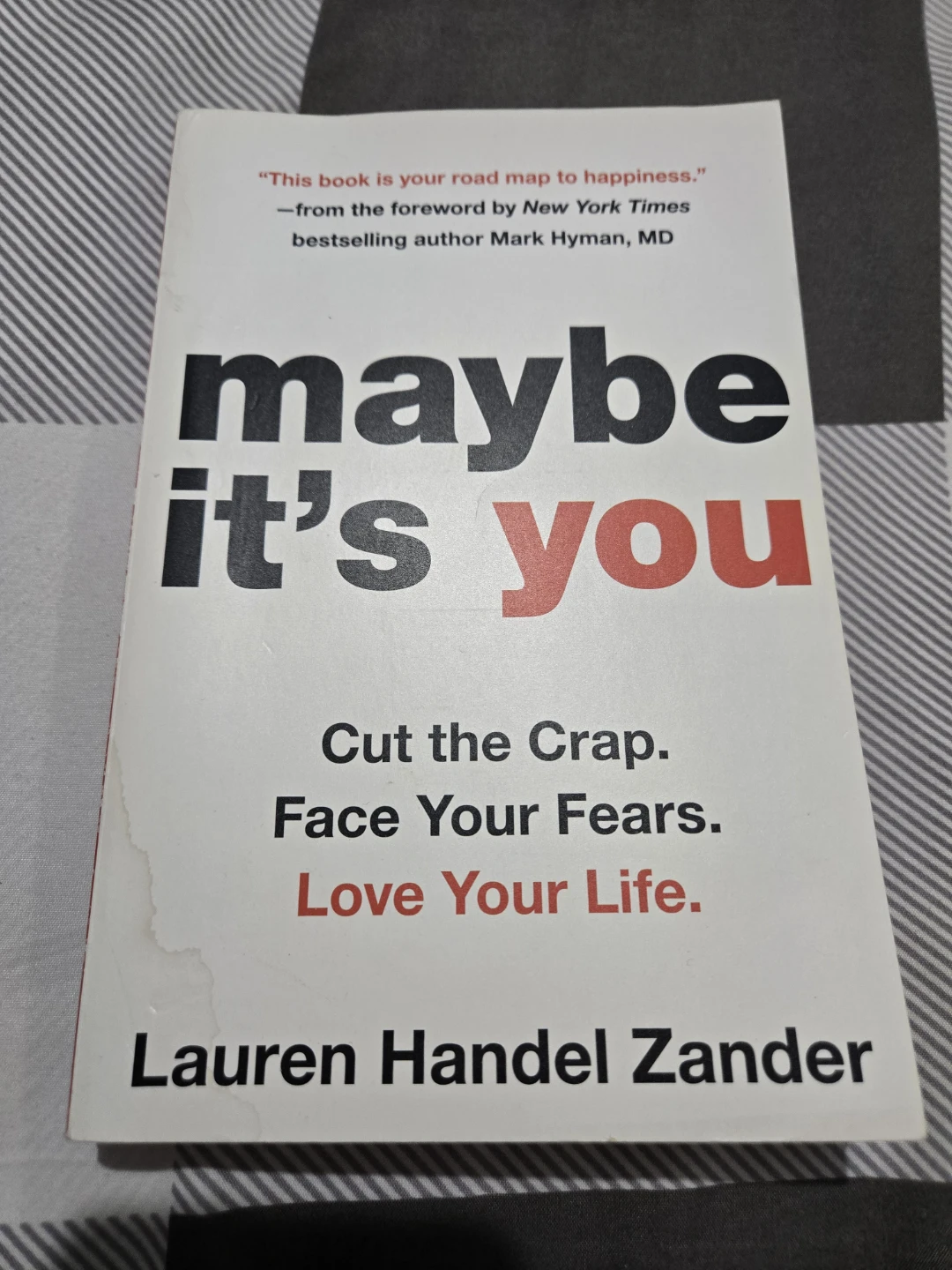Maybe It's You by Lauren Handel Zander