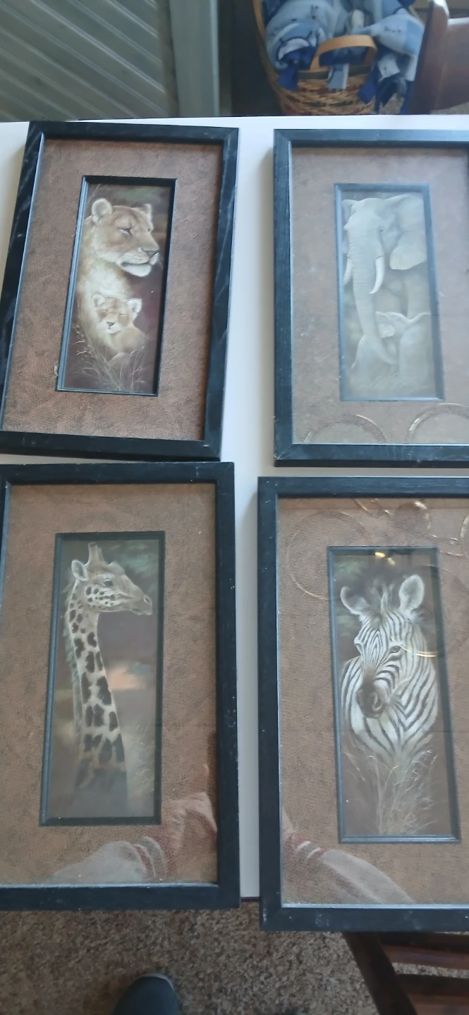Set of 4 Framed African Animal Art Prints