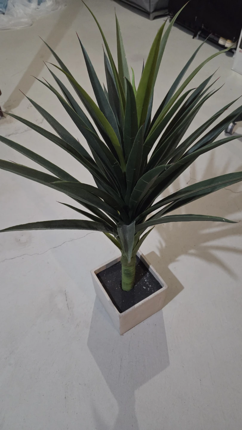 Artificial Yucca Plant in Square Pot