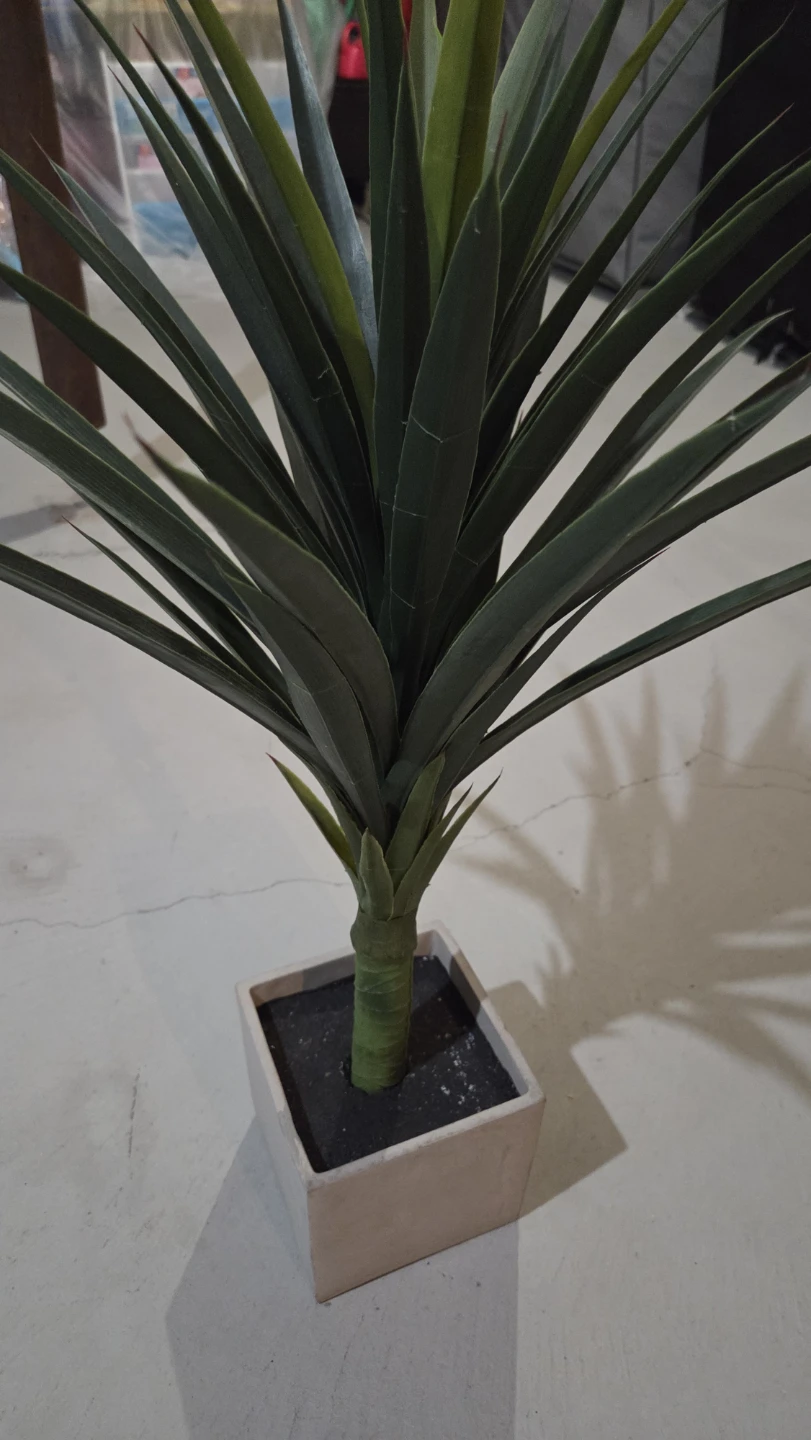 Artificial Yucca Plant in Square Pot - photo 2